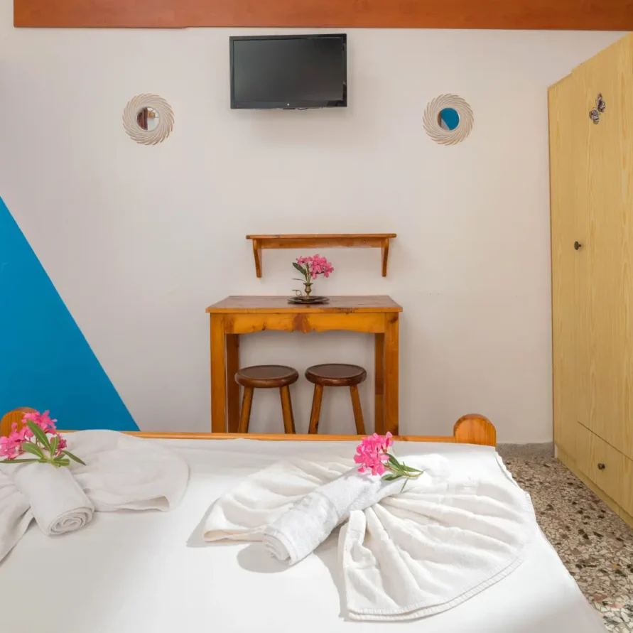 Economy Double Room